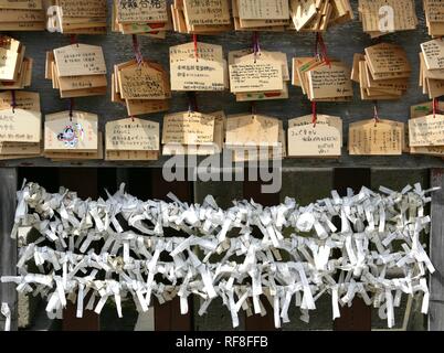 Le Japon, Tokyo : Culte festival, appelé Matsuri. Sanctuaire d'Asakusa Kannon Temple district. planche pour liste des choses désirées. Banque D'Images