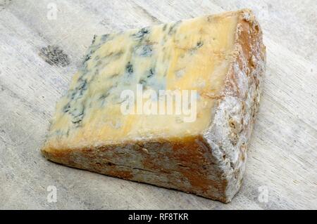 Blue Stilton cheese, spécialité anglais Banque D'Images