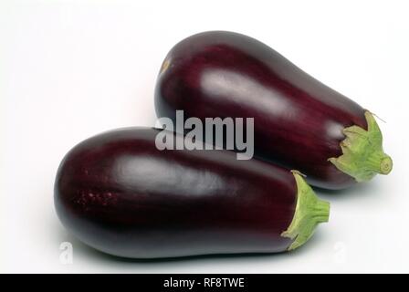 Ou aubergine aubergine (Solanum melongena) Banque D'Images