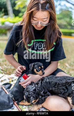 Une photo d'une belle jeune fille souriante jouer avec deux chiots Banque D'Images