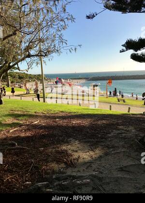 Cottesloe Beach, Australie occidentale Banque D'Images