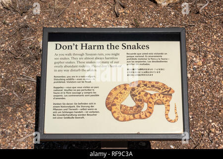 'Ne pas nuire à l'information et d'alerte des serpents signe, Tusayan ruines (ou Tusayan Pueblo) dans le Parc National du Grand Canyon, Arizona, USA. Banque D'Images