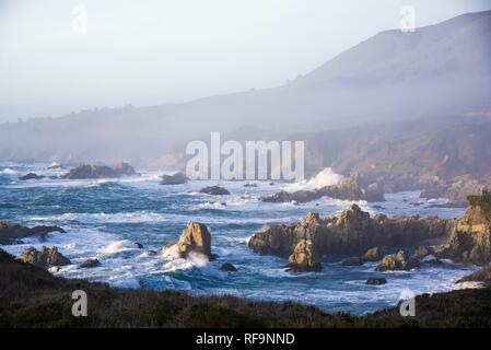 Vagues se briser contre la côte rocheuse de la péninsule de Monterey. Banque D'Images