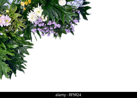 carte de vœux avec fleur tropicale Banque D'Images