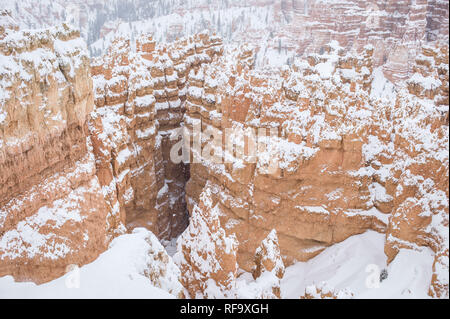 La haute altitude Parc National de Bryce Canyon, Utah, du plateau Paunsaugunt, obtient de la neige en hiver offrant le contraste pour le célèbre parc cheminées de red rock Banque D'Images