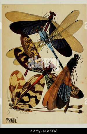 . Catalogue de la famille-groupe, genre-groupe et groupe d'espèces noms des Odonates du monde. Odonata Odonates Libellules ; ; ; ; ; Les Demoiselles Libellules demoiselles. . Veuillez noter que ces images sont extraites de la page numérisée des images qui peuvent avoir été retouchées numériquement pour plus de lisibilité - coloration et l'aspect de ces illustrations ne peut pas parfaitement ressembler à l'œuvre originale.. Les ponts, Charles A. Urbana, Ill. : Charles A. Bridges Banque D'Images