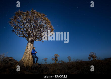 Quiver Tree Forest est une attraction touristique près de Keetmanschoop en Namibie, où des centaines d'espèces en voie de disparition arbres carquois, Aloidendron dichotoma, croître Banque D'Images