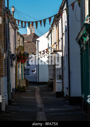 Dans la rue pittoresque Appledore Banque D'Images