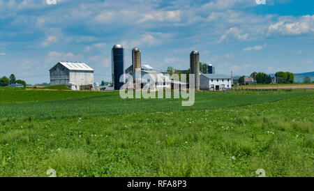 Amish Farm Paysage avec des silos à un jour d'été ensoleillé Banque D'Images