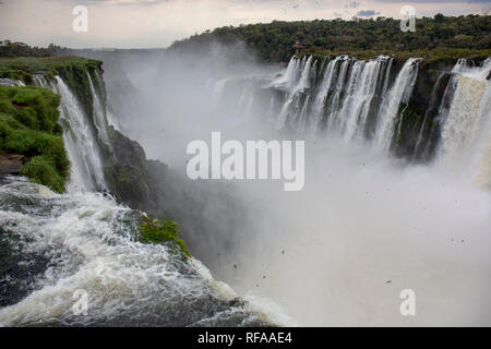 Les majestueuses chutes d'Iguaçu, une des merveilles du monde Banque D'Images