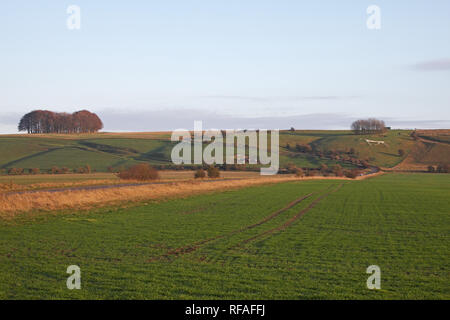 Cheval blanc figure Hackpen Hill Chalk Marlborough Downs Wiltshire England UK Banque D'Images