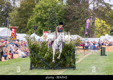 Saut dans le cadre d'un relais de chasse à l'Frampton Country Fair 2018 tenue à Frampton, Cour Frampton sur Severn, Gloucestershire UK Banque D'Images