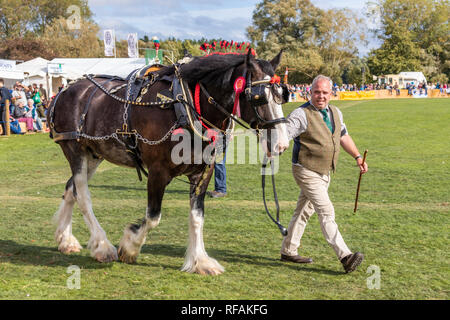 Une démonstration de chevaux au panier Frampton Country Fair 2018 tenue à Frampton, Cour Frampton sur Severn, Gloucestershire UK Banque D'Images