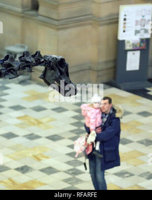 Glasgow, Ecosse, Royaume-Uni. 24 Jan, 2019. Dippy le Diplodocus UK tour s'avère très populaire comme le dinosaure reçoit l'attention d'une rock star chez les jeunes et vieux et devient l'un des plus photographié des attractions touristiques de la ville, Écosse, Royaume-Uni Crédit : Gérard ferry/Alamy Live News Banque D'Images