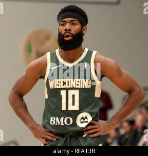 Oshkosh, Wisconsin, USA. 23 Jan, 2019. Garde des troupeaux Wisconsin Robert Johnson a l'air lors d'un G-League NBA match entre la ville des vents et le troupeau de taureaux du Wisconsin à la Nation Menominee Arena de Oshkosh, Wisconsin. Ricky Bassman/CSM/Alamy Live News Banque D'Images