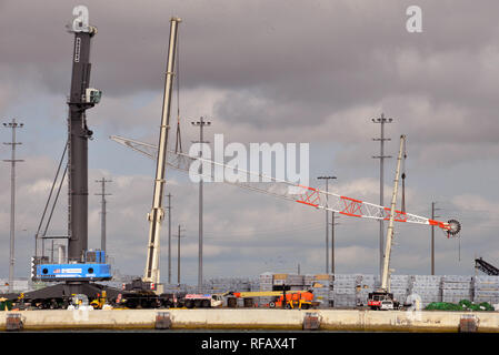 Port Canaveral, en Floride. USA. Le 24 janvier 2019. La plus grande grue mobile portuaire en Amérique est en cours d'assemblage sur le quai à Port Canaveral. Lorsqu'il est complètement assemblé la grue Liebherr LHM 600 administré par l'Autorité de Port Canaveral gérer de lourdes cargaisons, y compris des composants spatiaux qui arrivent au port. À l'aide de deux grues une grue locale a soulevé la société foc massive et à le joindre à la tour. Lorsqu'il est complètement assemblé il devrait entrer en service au deuxième trimestre de 2019. Crédit photo Julian Poireau / Alamy Live News Banque D'Images