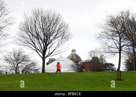 Glasgow, Ecosse, Royaume-Uni. 25 Jan, 2019. Les promeneurs de chiens passant le Palais du Peuple sur Glasgow Green sur un jour humide de crédit à Glasgow : Kay Roxby/Alamy Live News Banque D'Images