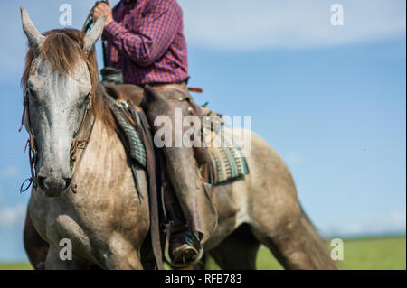 Flint Hills dans l'est du Kansas, USA, ont certains des plus intacts les écosystèmes des prairies à herbes hautes, jamais labourée par les premiers colons, encore utilisées pour faire paître Banque D'Images