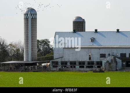 Amish Farm Paysage avec Silos et Grange sur une journée ensoleillée Banque D'Images