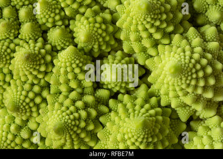 Le brocoli Romanesco close up Banque D'Images