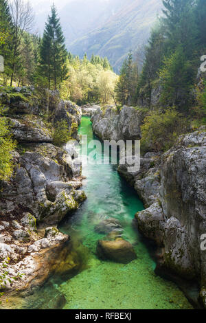 Grande rivière Soca, Gorge de la soca, parc national du Triglav, en Slovénie Banque D'Images