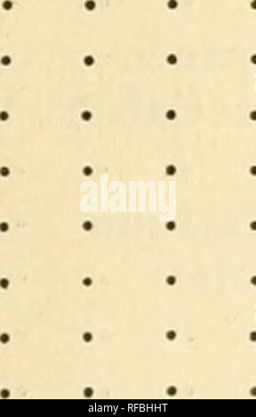 . Catalogos da la faune brazileira. Zoologie Zoologie ;. Índice alphabetico dos nomes vulgares 110 Acanã Agachada • • e Águia Chilena Águia Pescadora Ajurú • Alegrinho Albatroz Alcaide Alcatraz Alfaiate Alma Il Caboclo de Gato Alma Alma de Mestre Anacã • Ananhy Andorinhas Andorinha n Ma Andorinha Matto ne • Andorinha n'OCCO ne • Andorinhões Páu Andorinha Grande • • Anicavara Anhinga Anhuma Anum • Anum-GuassAnum-Peixe Anum Branco . Apacanim • • Araçari Araçari de banane-• n'Araçari Minhoca Araçari-Póca • • • Aracuan. 95 55 89 100 121 38 349 80 275 379 160 160 36 124 74 339 39 177 383 340 137 79 78 36 Banque D'Images