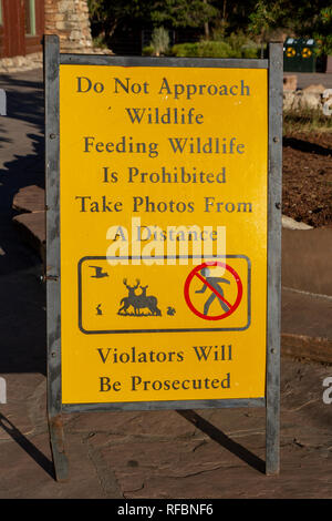 Conseils aux voyageurs de ne pas signer à l'approche et/ou nourrir les animaux mis en place près de l'angle lumineux Lodge, Rive Sud, le Parc National du Grand Canyon, Arizona, USA. Banque D'Images