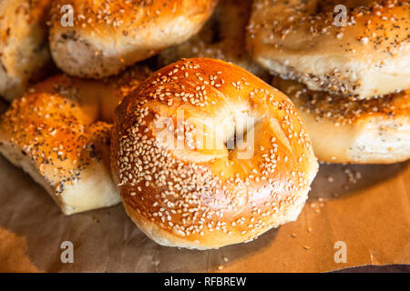 Assortiment de style New York bagels authentiques avec des graines Banque D'Images