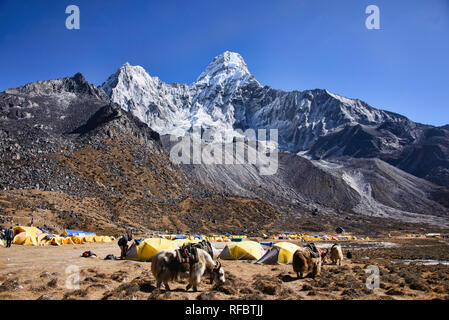 L'Ama Dablam s'élève au-dessus de la vallée du Khumbu, Népal, région de l'Everest Banque D'Images