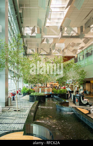 Singapour - Janvier 2019 : l'aéroport de Singapour Changi architecture et passagers. Singapour. L'aéroport de Changi est l'un des plus grands aéroports en Asie. Banque D'Images