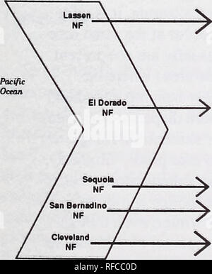 . De récentes recherches sur les maladies du feuillage : conference proceedings : Carlisle, Pennsylvanie, du 29 mai au 2 juin 1989. Maladies et ravageurs des feuilles United States Congrès. Weir (20) ont indiqué qu'hysterothecia sur les aiguilles de pin ponderosa infectées l'année précédente dans l'alésage du Nord-Ouest du Pacifique avec l'asci à maturité des spores bien développé au début du printemps. Cependant, il a indiqué qu'hys- terothecia et spores mûres peuvent être trouvés à n'importe quelle saison de l'année, et que les organes de fructification résister à sécher et libèrent des spores uniquement pendant les périodes d'abondance- dant l'humidité. Plus grand nombre de spores ont été libérés durant Banque D'Images