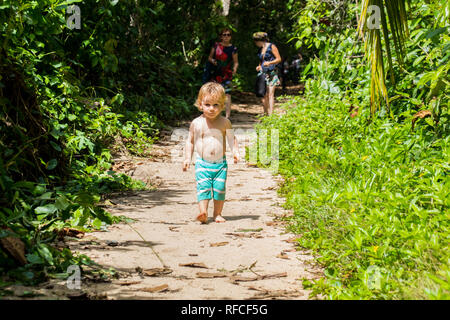 Une photo d'un jeune garçon marche dans le parc national de Cahuita au Costa Rica Banque D'Images