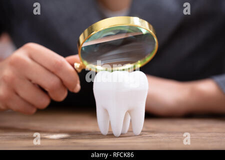 Close-up of a person holding loupe sur la Dent Blanche en bonne santé sur un bureau en bois Banque D'Images