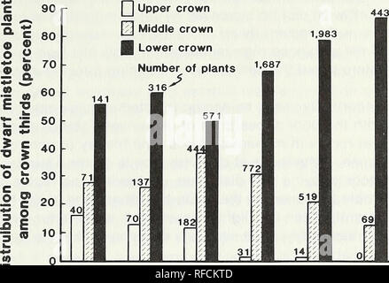 . Réponse du faux-gui du pin ponderosa infestés à l'amincissement. Arceuthobium multiplication ; Maladies et ravageurs du pin ponderosa, le pin à l'éclaircie. (0. 1956 1960 1963 1968 Q 1970 1974 Année Figure 6 - répartition, entre les tiers de la Couronne, de l'ensemble de plantes le gui (7 440) sur 54 de plus en plus de jeunes pins ponderosa entre 1945 et 1974. Nombre de plantes sont déclarées juste des peuplements pré- céder en 1956, lorsque la plupart des nains latente mistle toe- plantes avaient émergé des peuplements après en 1960, précédant immédiatement l'élongation leader accélérée en 1963 ; lorsque la croissance rapide s'est stabilisé à 196 Banque D'Images