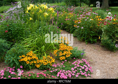 63821-21914 chemin à travers jardin de fleurs, l'Oeil de Tigre Susans black-eyed (Rudbeckia hirta), Rose Verveine (Verbena canadensis), l'hémérocalle jaune (Hemerocalli Banque D'Images