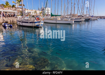 Voiliers dans le port de Mogan, Gran Canaria, Espagne Banque D'Images