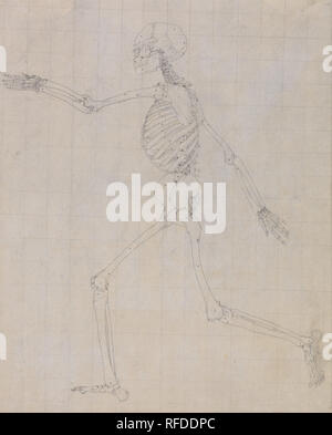 Une étude comparative de l'exposition anatomique de la structure du corps humain avec celui d'un Tigre et d'une pintade Commune : squelette humain, vue latérale (Contours du squelette pour la clé figure au tableau III). Date/période : 1795 à 1806. Dessin. Graphite sur la crème, fine, légèrement texturé, papier vélin ; squared dans le graphite pour le transfert. Hauteur : 457 mm (17,99 po) ; Largeur : 368 mm (14.48 in). Auteur : George Stubbs. Banque D'Images