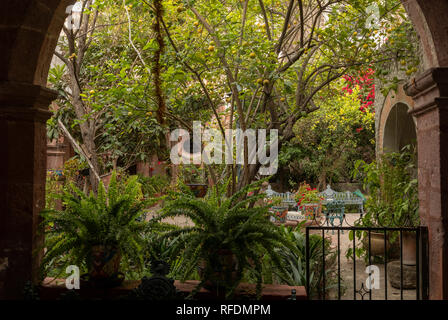 Jardin de la cour de Santa Casa de Loreto, San Miguel de Allende, Mexique central. Banque D'Images