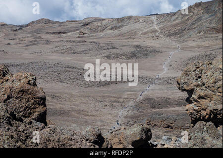 Les visiteurs de la plus haute montagne de l'Afrique et le plus haut du monde montagne isolée, le mont Kilimandjaro, passer à travers 5 zones de végétation sur la montée Banque D'Images