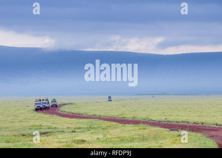 Ngorongoro Crater, ancienne caldeira et l'un des plus magnifique de faune, fait partie de la zone de conservation de Ngorongoro, en Tanzanie Banque D'Images