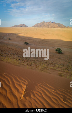 Les dunes d'un autre monde et les paysages désertiques de Namib-Naukluft National Park faire une belle journée de voyage de Sesriem camp sur le bord du Namib Banque D'Images