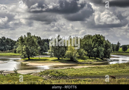 Petite île avec des arbres, buissons et les plages de sable dans un canal secondaire de la rivière Waal, près de Tiel, aux Pays-Bas, dans le cadre d'un ciel dramatique Banque D'Images