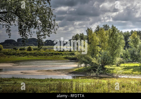 Vue depuis la digue vers les plaines inondables de la rivière Waal, près de Tiel, aux Pays-Bas, avec des arbres, buissons, les prés herbeux et canaux latéraux avec sa Banque D'Images