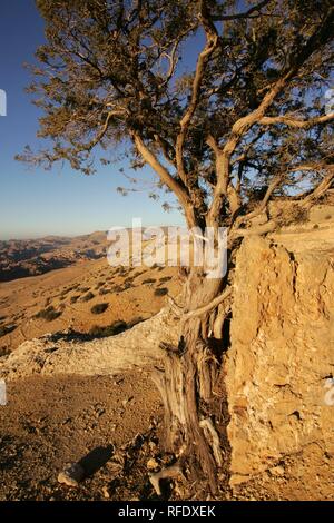 Chaîne de montagne près de la ville de Wadi Musa, Petra, Jordanie Banque D'Images