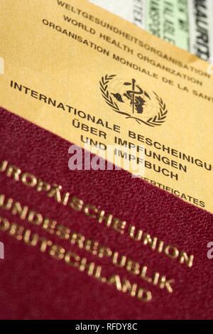 Passeport, carte de vaccination, Allemagne Banque D'Images