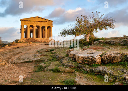 Temple of Concordia (Tempio della Concordia). Valle dei Templi (Vallée des Temples). Agrigento Sicile Italie Banque D'Images