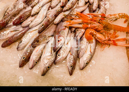 Différentes sortes de poisson frais et des crevettes sont vendues à l'intérieur du Mercat de la Llibertat dans le quartier Vila de Gràcia Banque D'Images