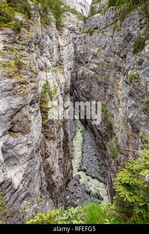 La Suisse, les Alpes, Berner Oberland, Grindelwald, printemps. Gletscher Schlucht. Banque D'Images