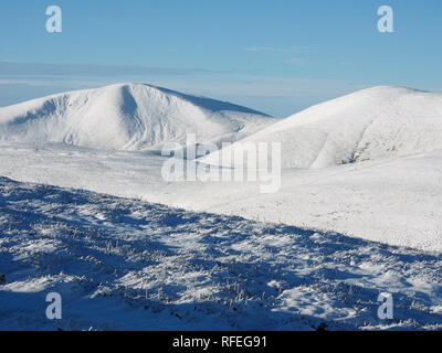 Harfang des hautes terres du sud de la colline de vers, près de Tweedsmuir, Ecosse Banque D'Images