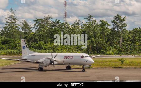 Dekai, Indonésie - le 22 janvier 2015 : un petit avion de cargaison à l'aéroport local dans Dekai. La Papouasie occidentale, l'Asie. Banque D'Images